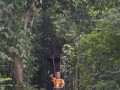 Tn DSC 4331